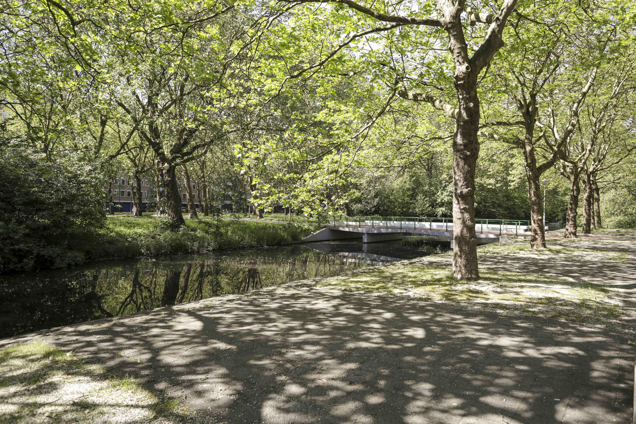 Foto 30 van Schierstins 131