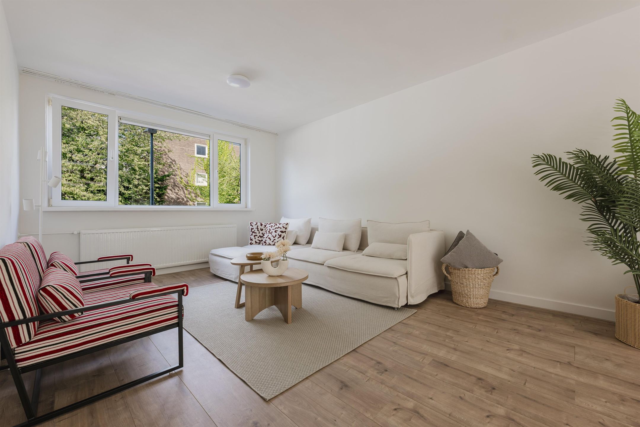 Foto 12 van Schierstins 131