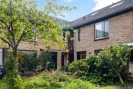 Pallieterstraat thumbnail