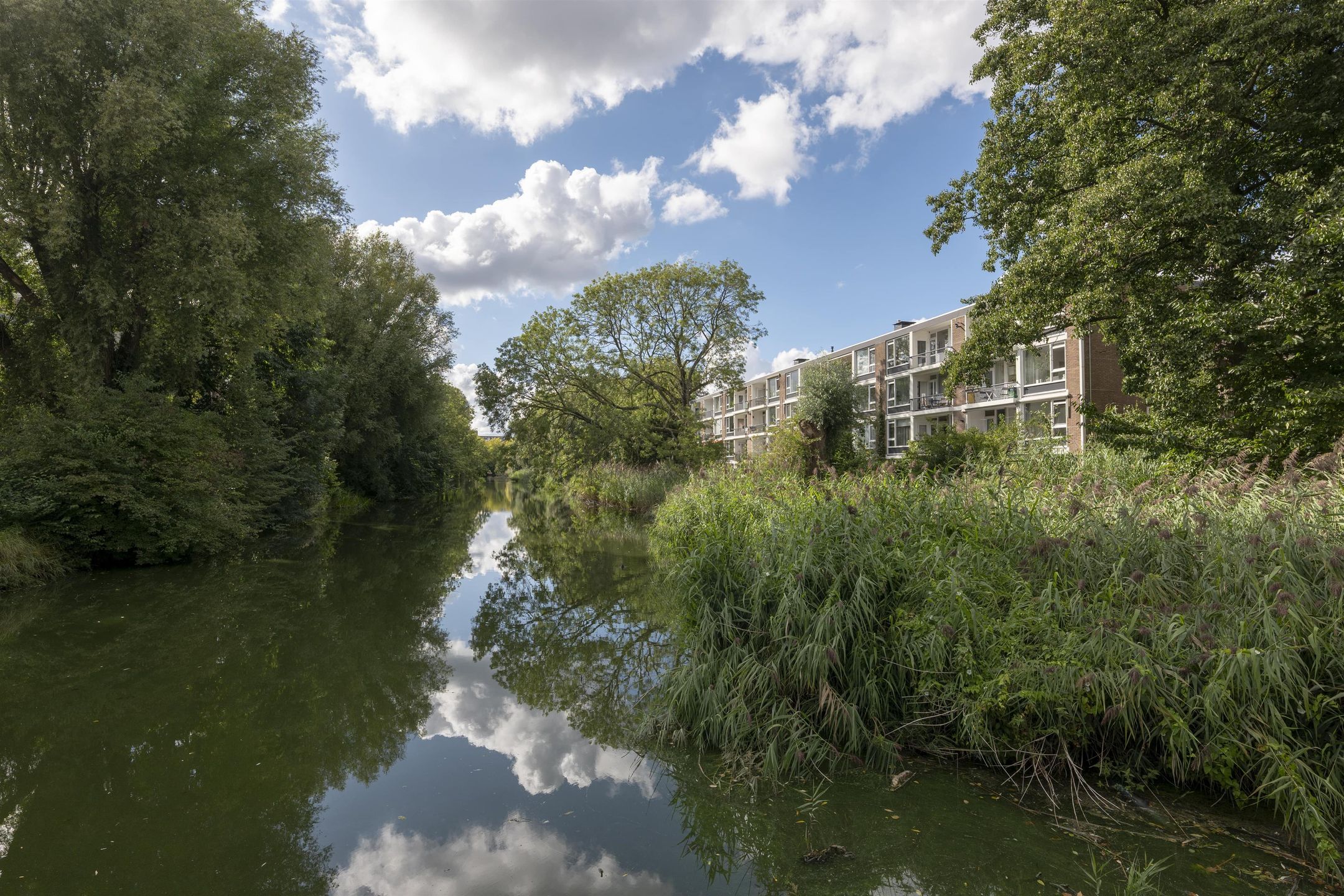 Foto 27 van Schierstins 131