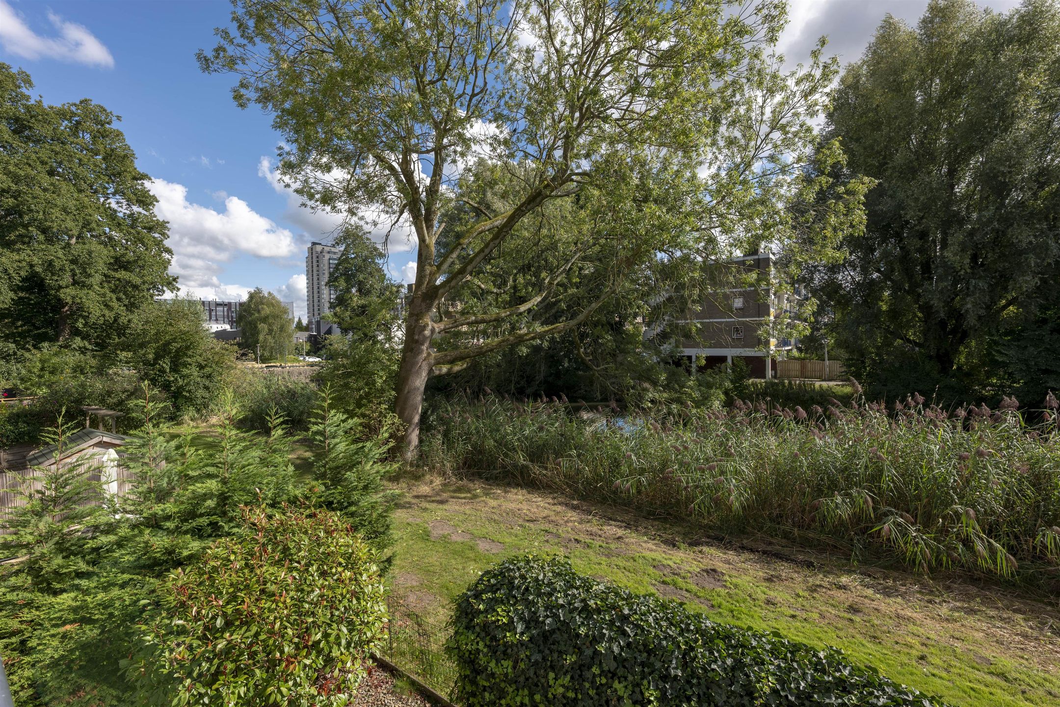 Foto 33 van Schierstins 131