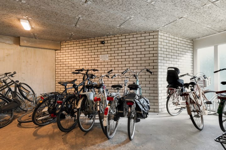 Photo 36 of Anna Paulownahof 60