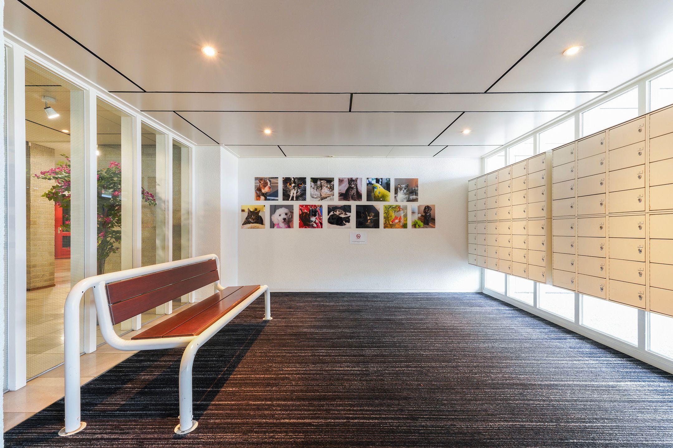 Photo 42 of Anna Paulownahof 60