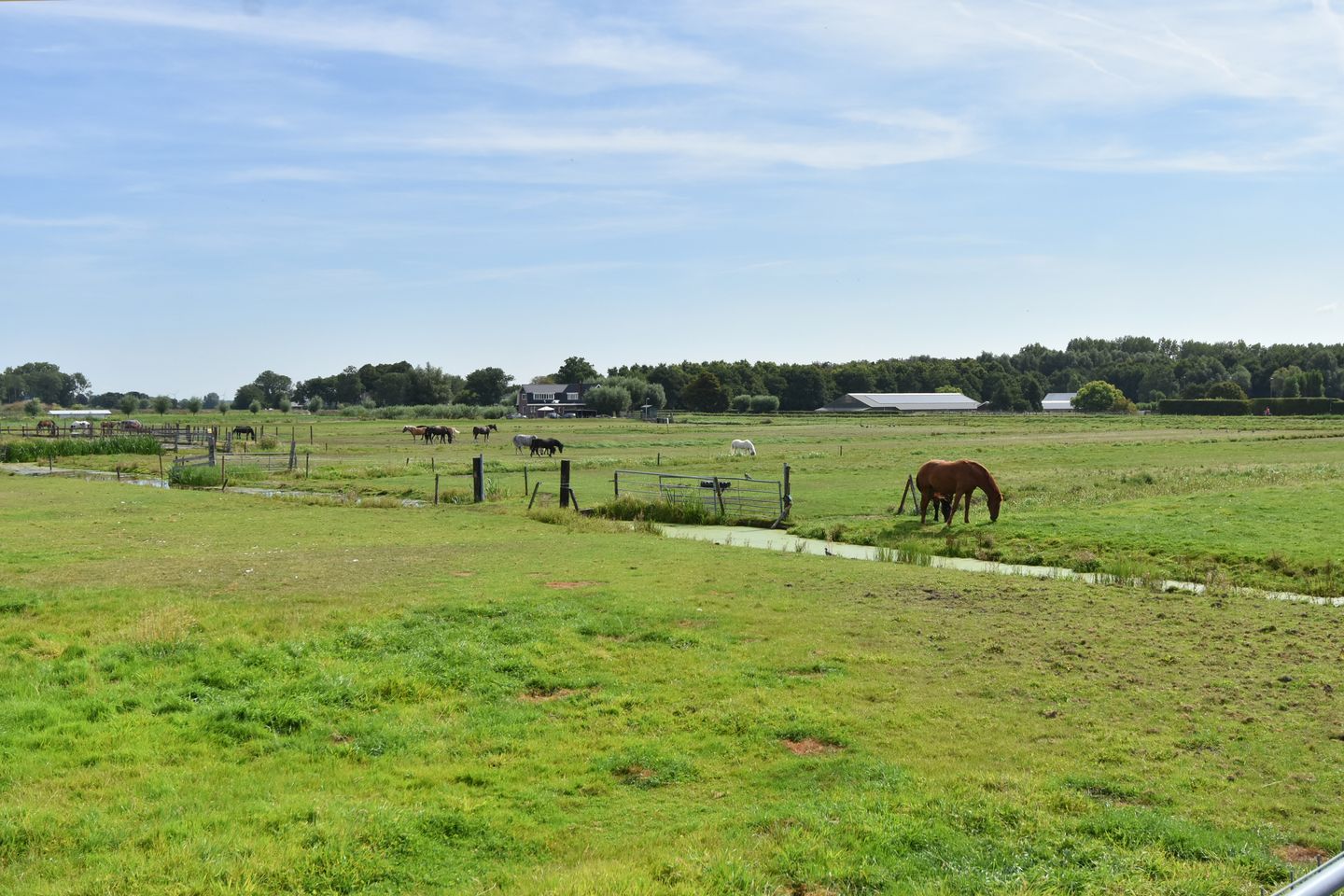 Foto 44 van Nautawerf 47