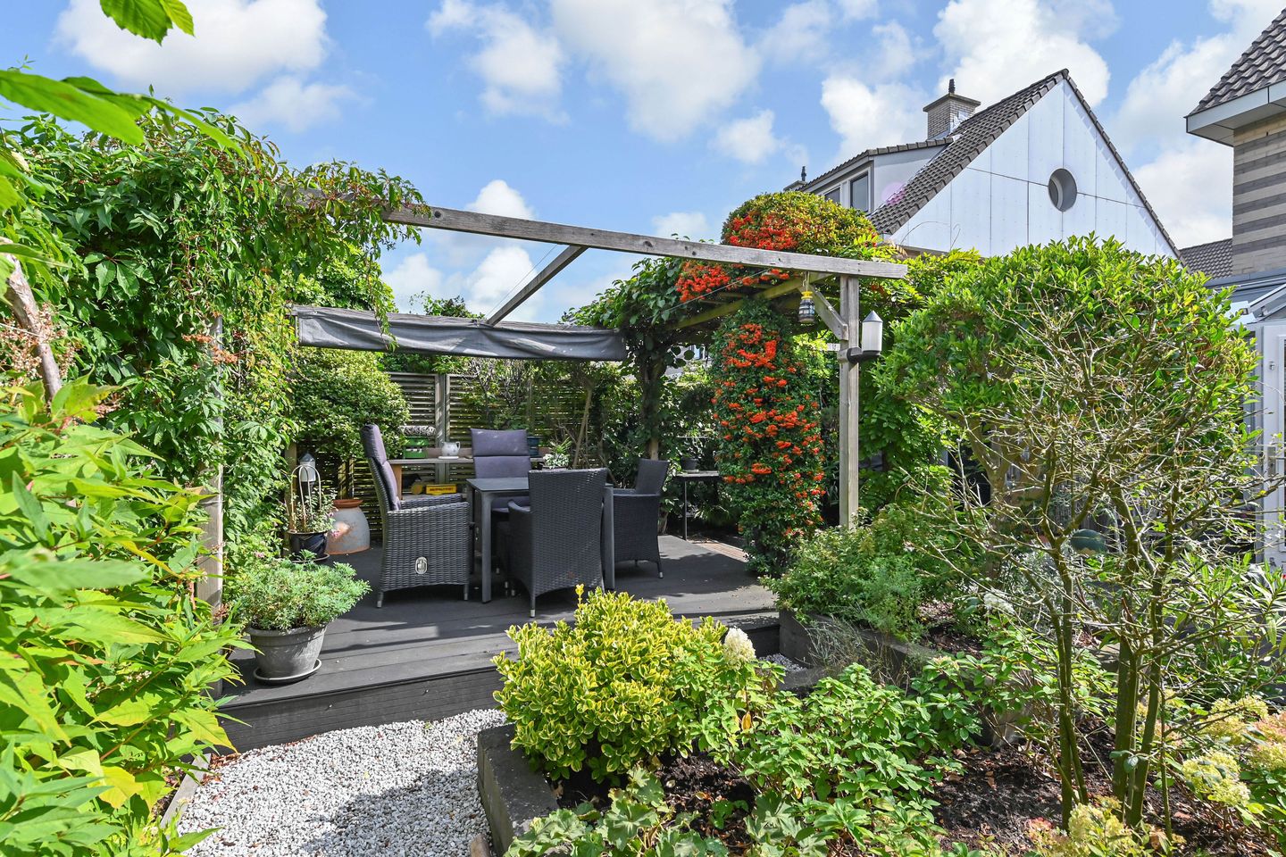 Foto 4 van Maagdenpalm 1-A