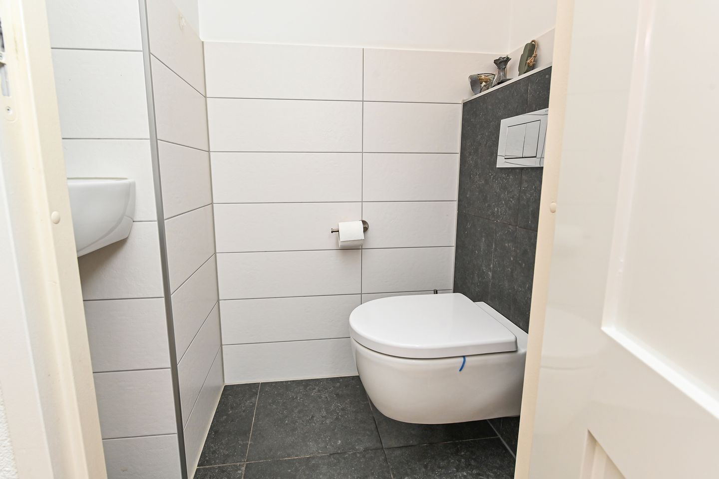 Foto 14 van Maagdenpalm 1-A