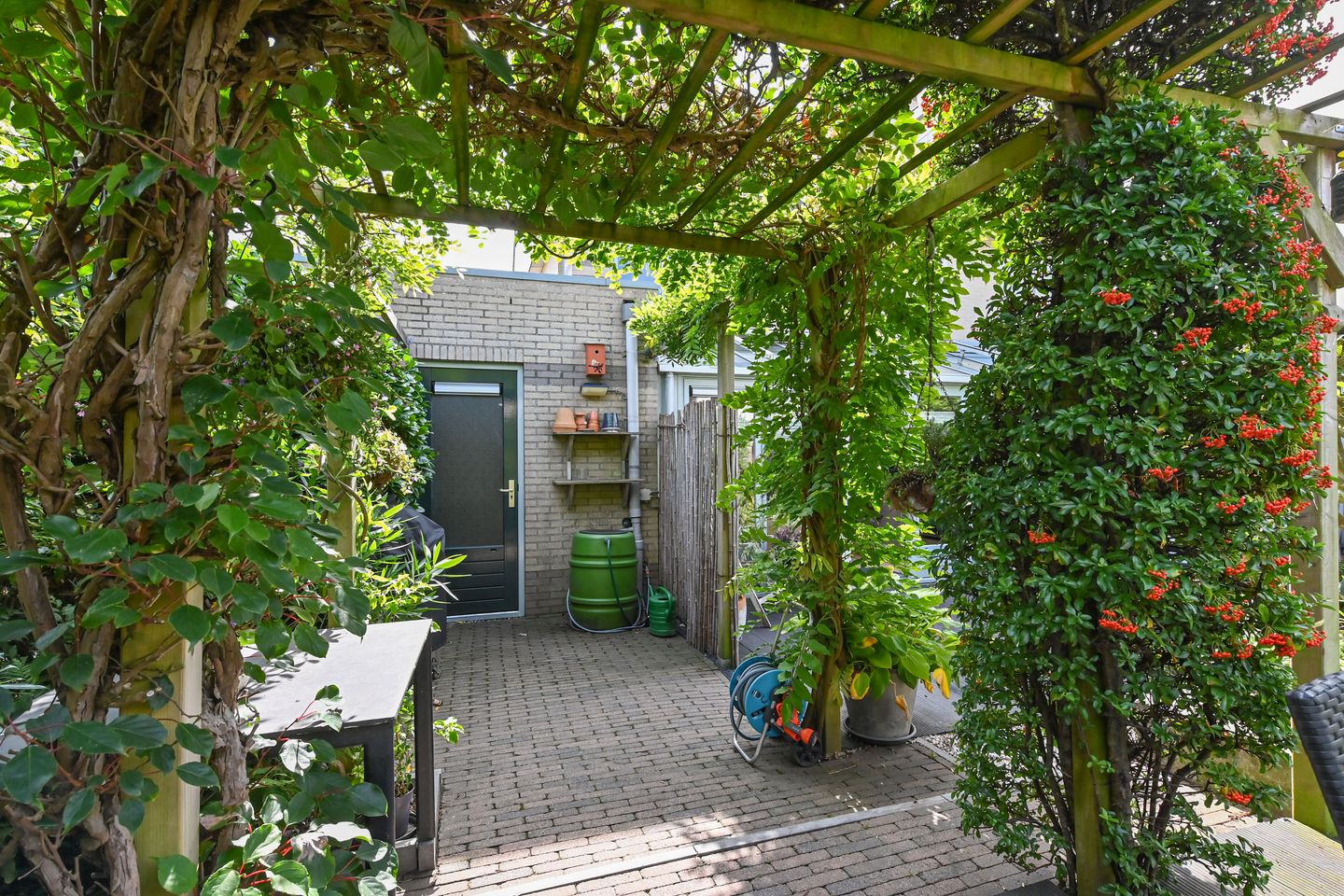 Foto 40 van Maagdenpalm 1-A