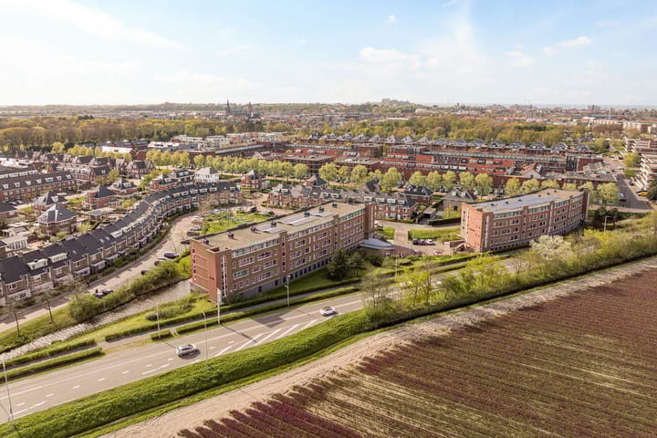 Foto 3 van Peterhof 44