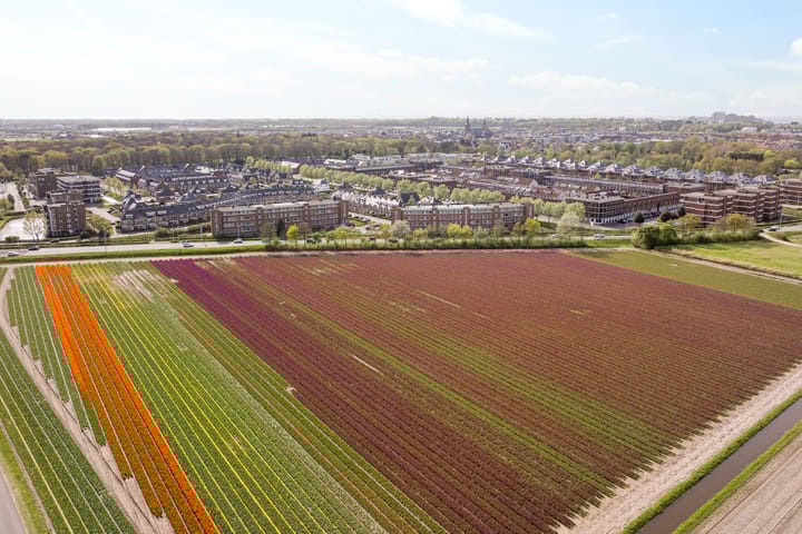 Foto 34 van Peterhof 44