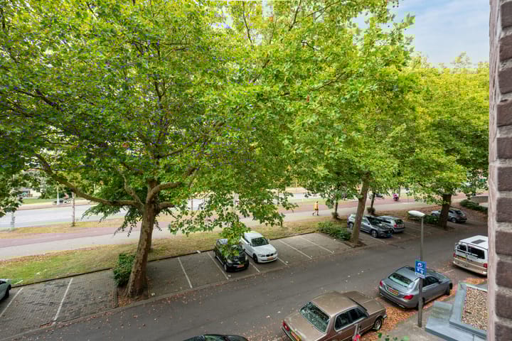 Foto 25 van Marcantilaan 24