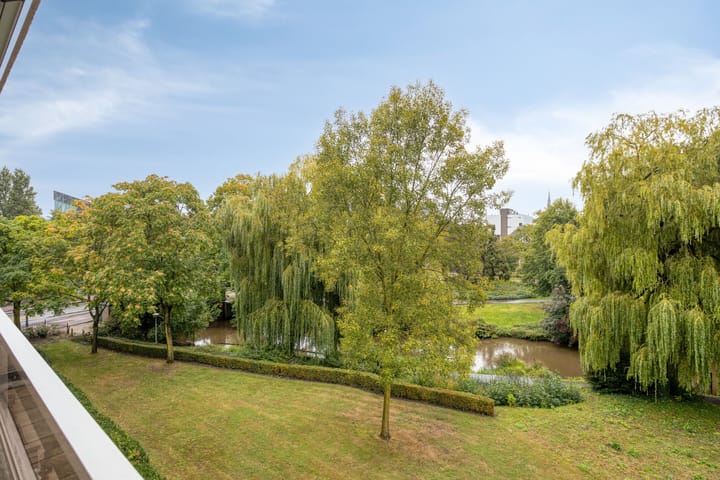 Foto 11 van Groot Paradijs 55