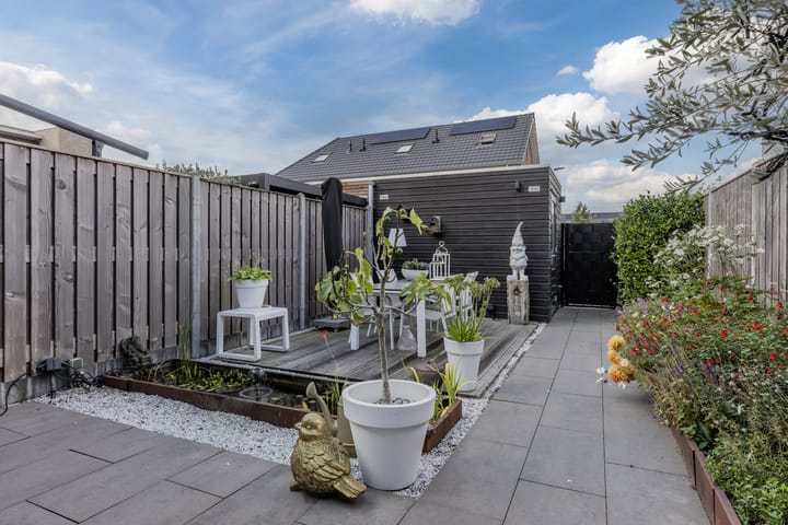 Foto 2 van Napoleonshoed 7