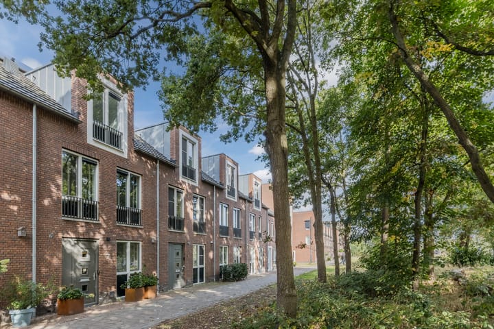 Foto 34 van Napoleonshoed 7