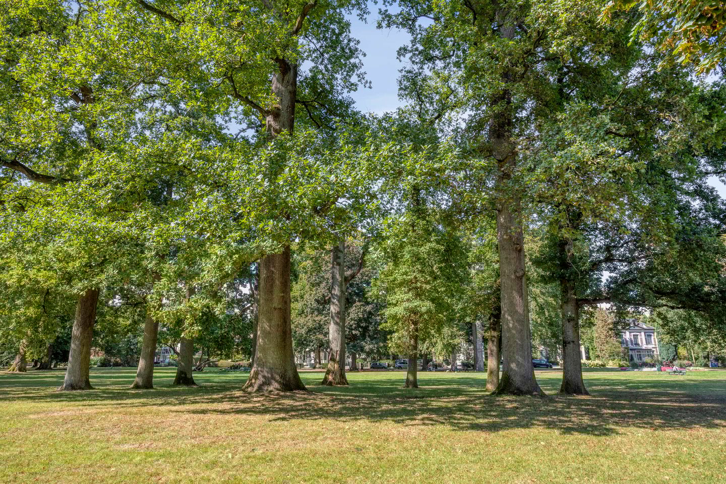 Foto 49 van Catharina van Reesstraat 2