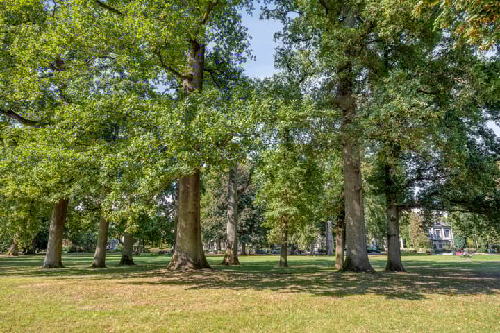 Photo 49 of Catharina van Reesstraat 2