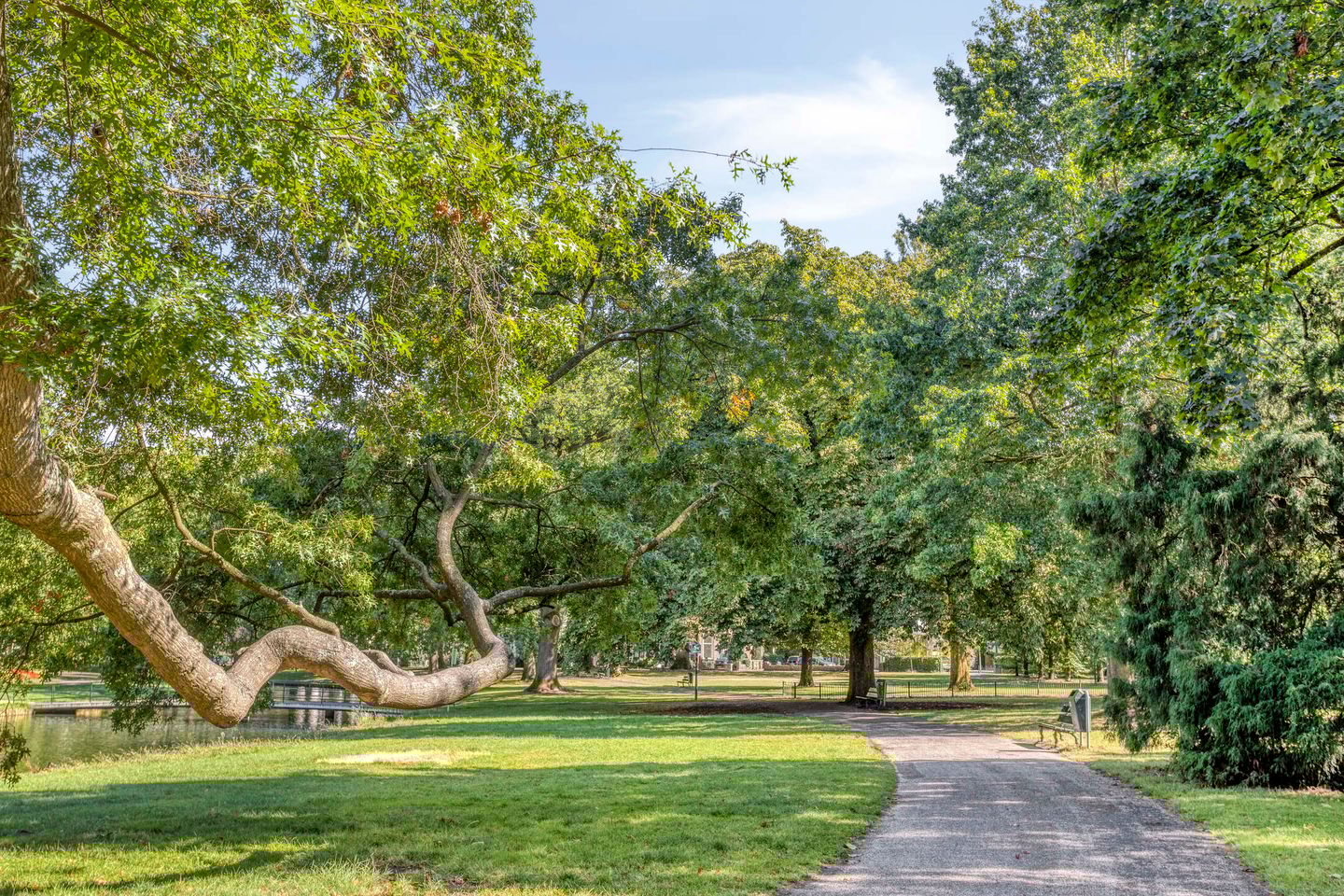 Foto 50 van Catharina van Reesstraat 2