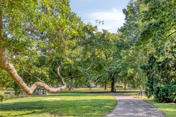 Photo 50 of Catharina van Reesstraat 2