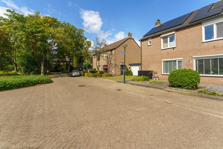 Foto 7 van Hoge Tom 43