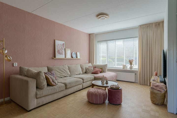 Foto 12 van Hoge Tom 43