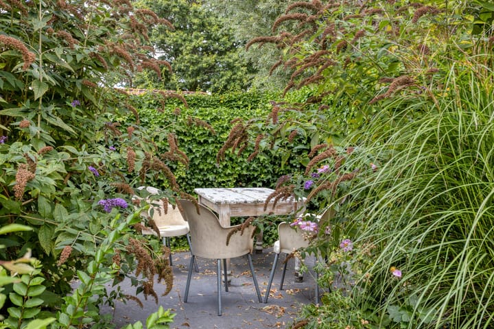 Foto 71 van Utbuorren 16