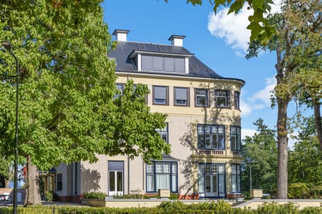 undefined main image