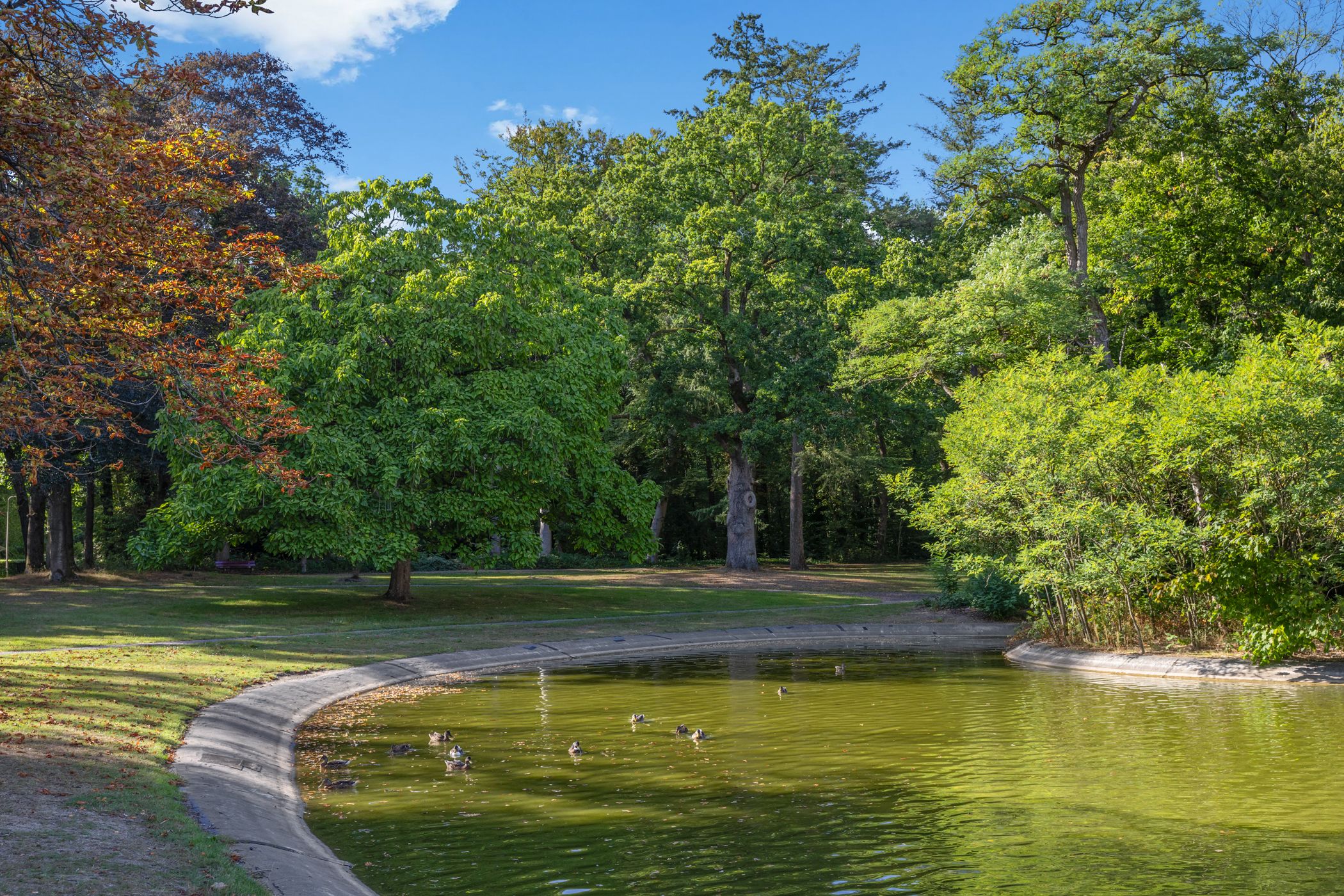 Foto 60 van Rembrandtlaan 2-01