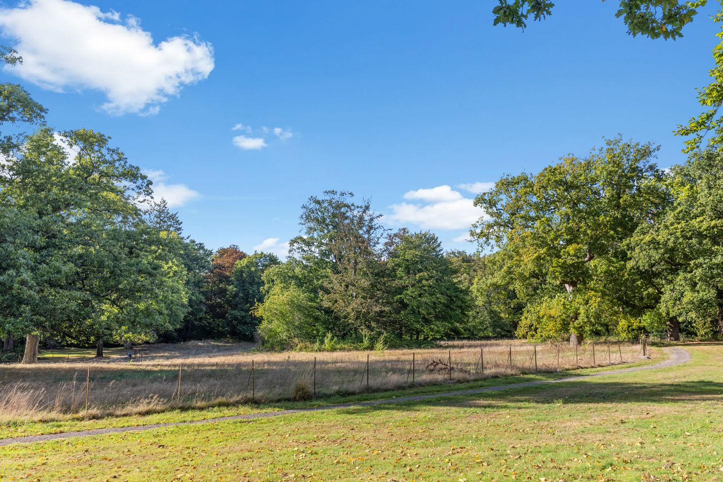 Foto 64 van Rembrandtlaan 2-01