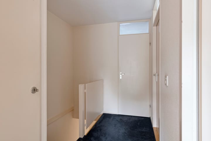 Foto 21 van Looveltlaan 6