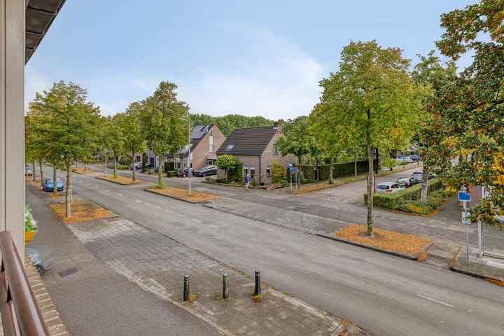 Foto 33 van Looveltlaan 6