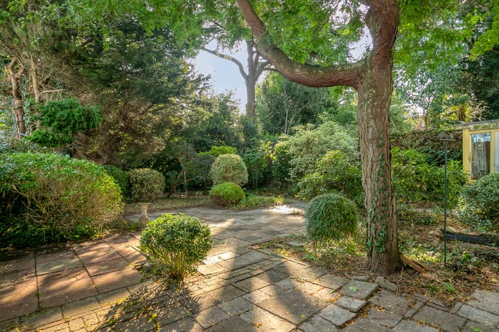 Foto 5 van Molenwater 111