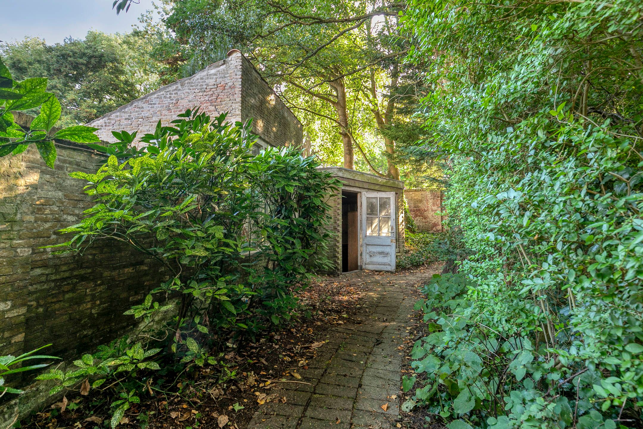 Foto 39 van Molenwater 111