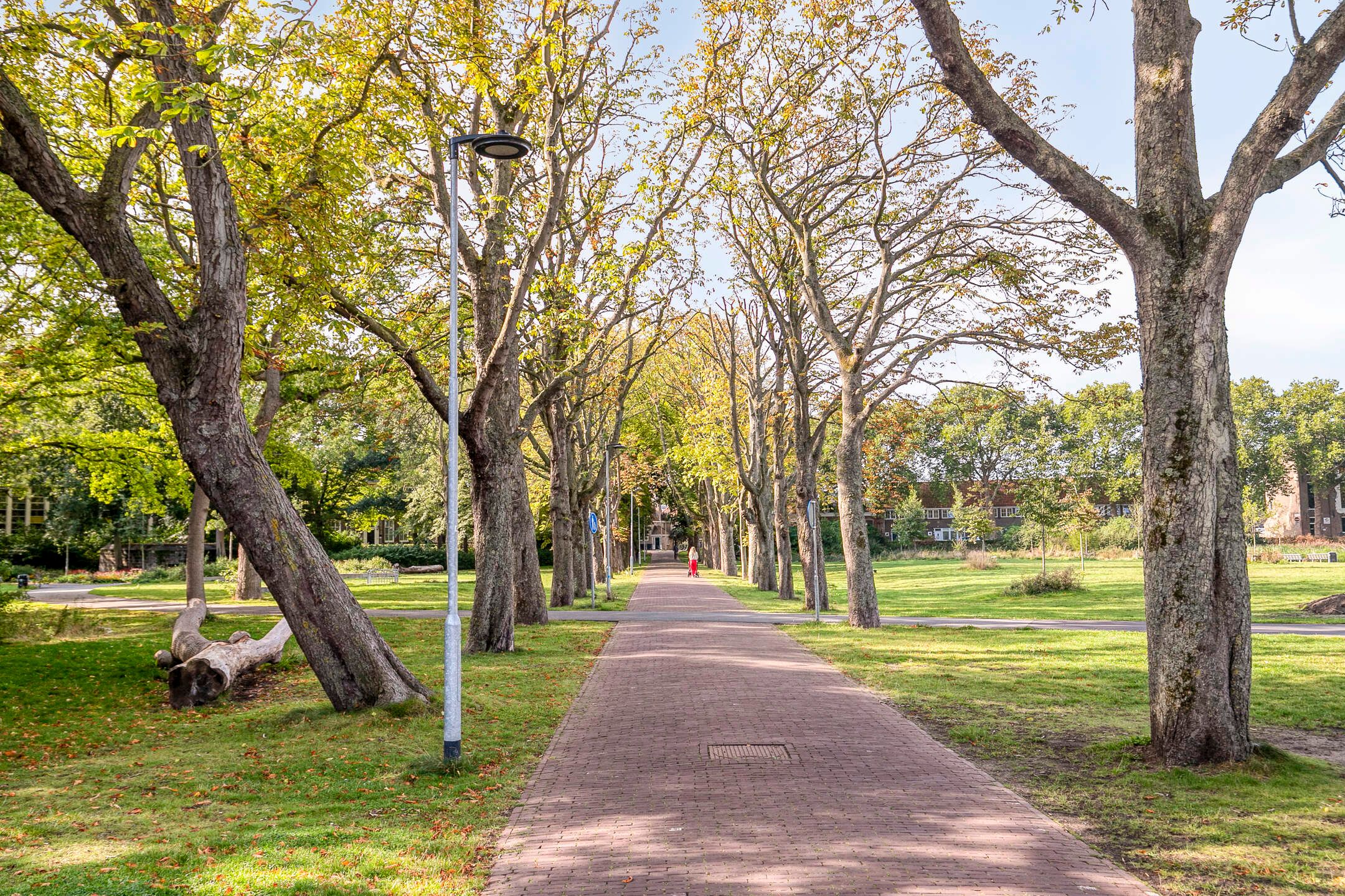 Foto 48 van Molenwater 111