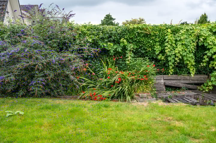 Photo 34 of De Hilde 24