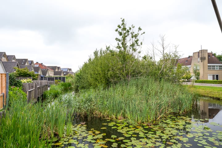 Photo 37 of De Hilde 24