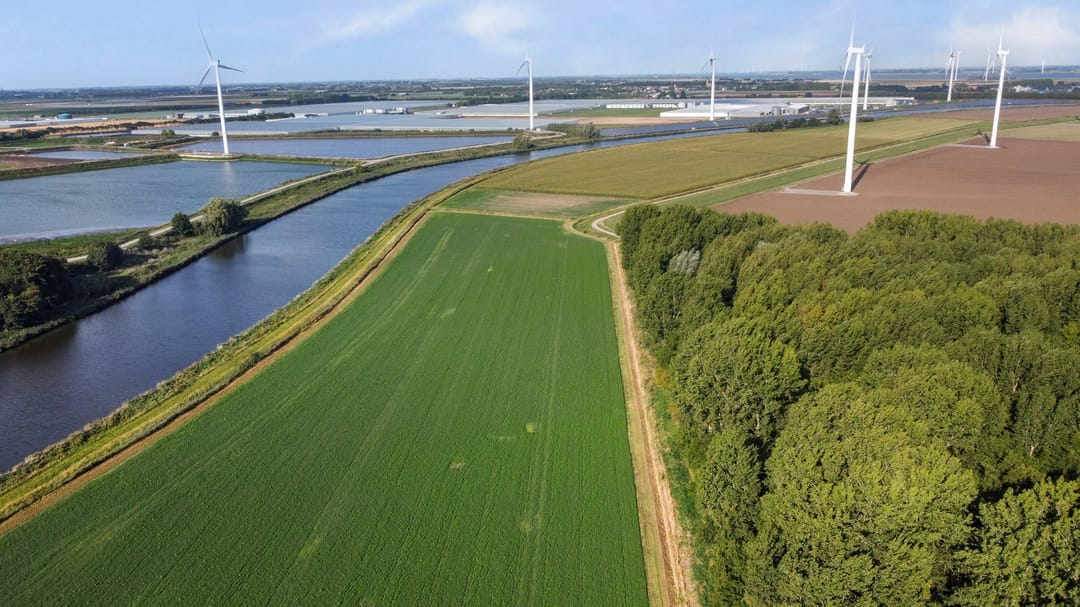 Photo 41 of Slobbegorsedijk 17