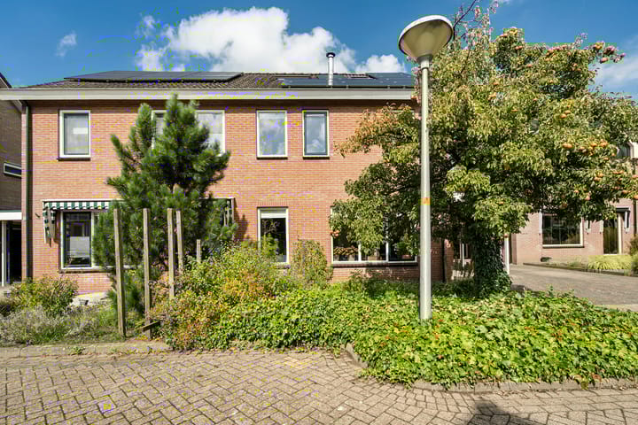 Foto 8 van Speenkruid 10