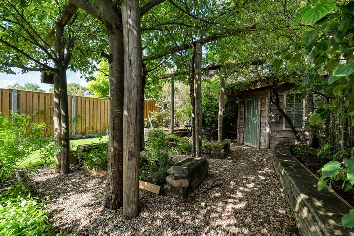 Foto 42 van Speenkruid 10