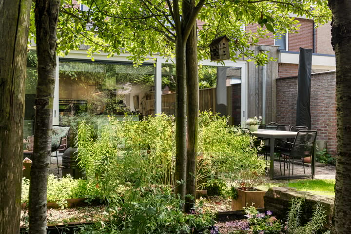 Foto 43 van Speenkruid 10