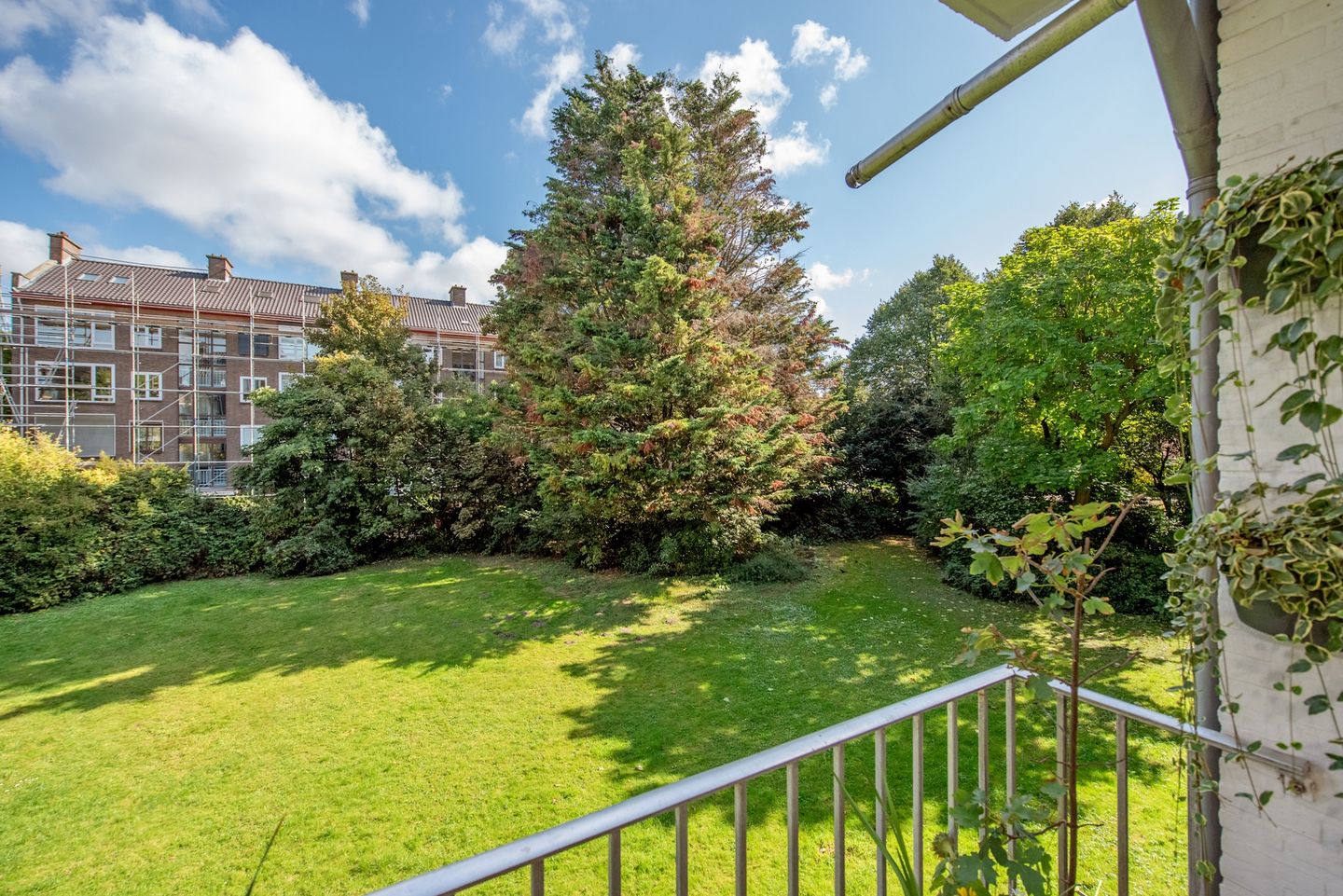 Foto 14 van Dr N. Adrianistraat 19