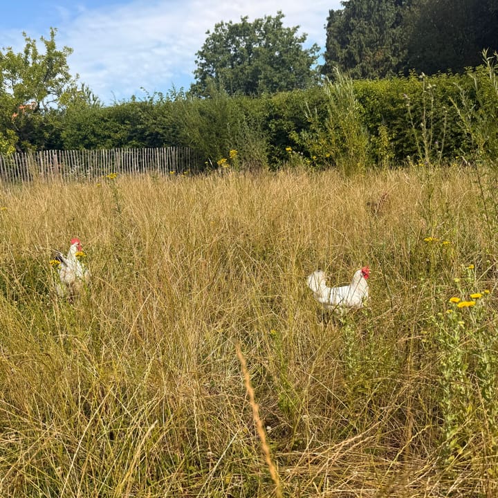 Foto 3 van Kortstraatje 2