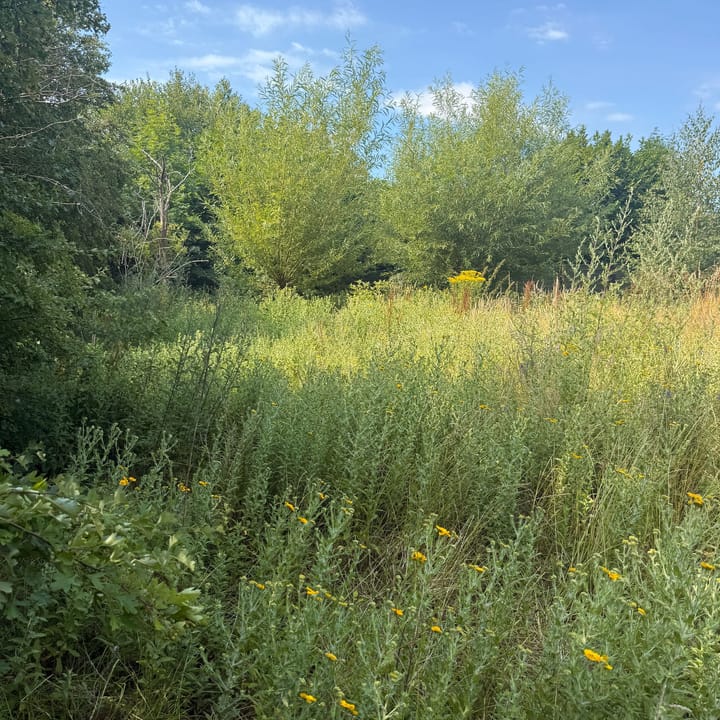 Foto 32 van Kortstraatje 2