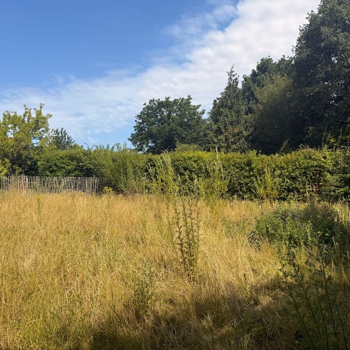 Foto 33 van Kortstraatje 2