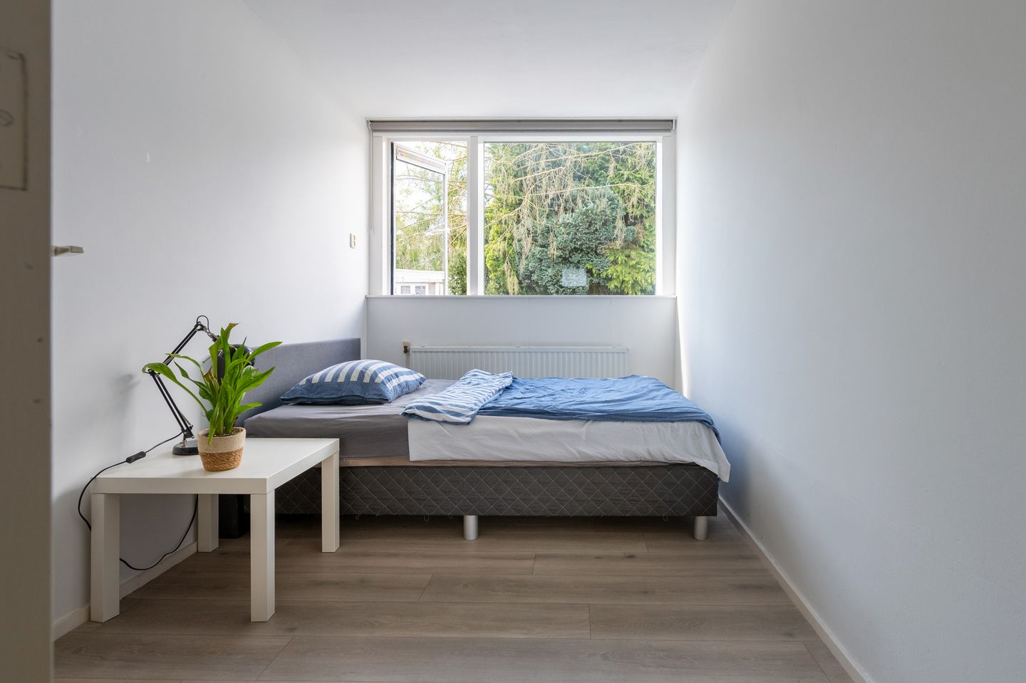 Foto 20 van Dillingecamp 24