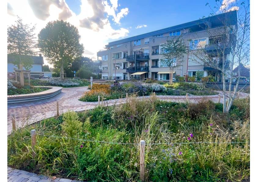 Photo 11 of Wilhelminalaan 11-A2