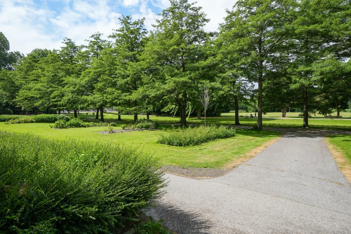 Foto 25 van Van der Dussenstraat 9-B