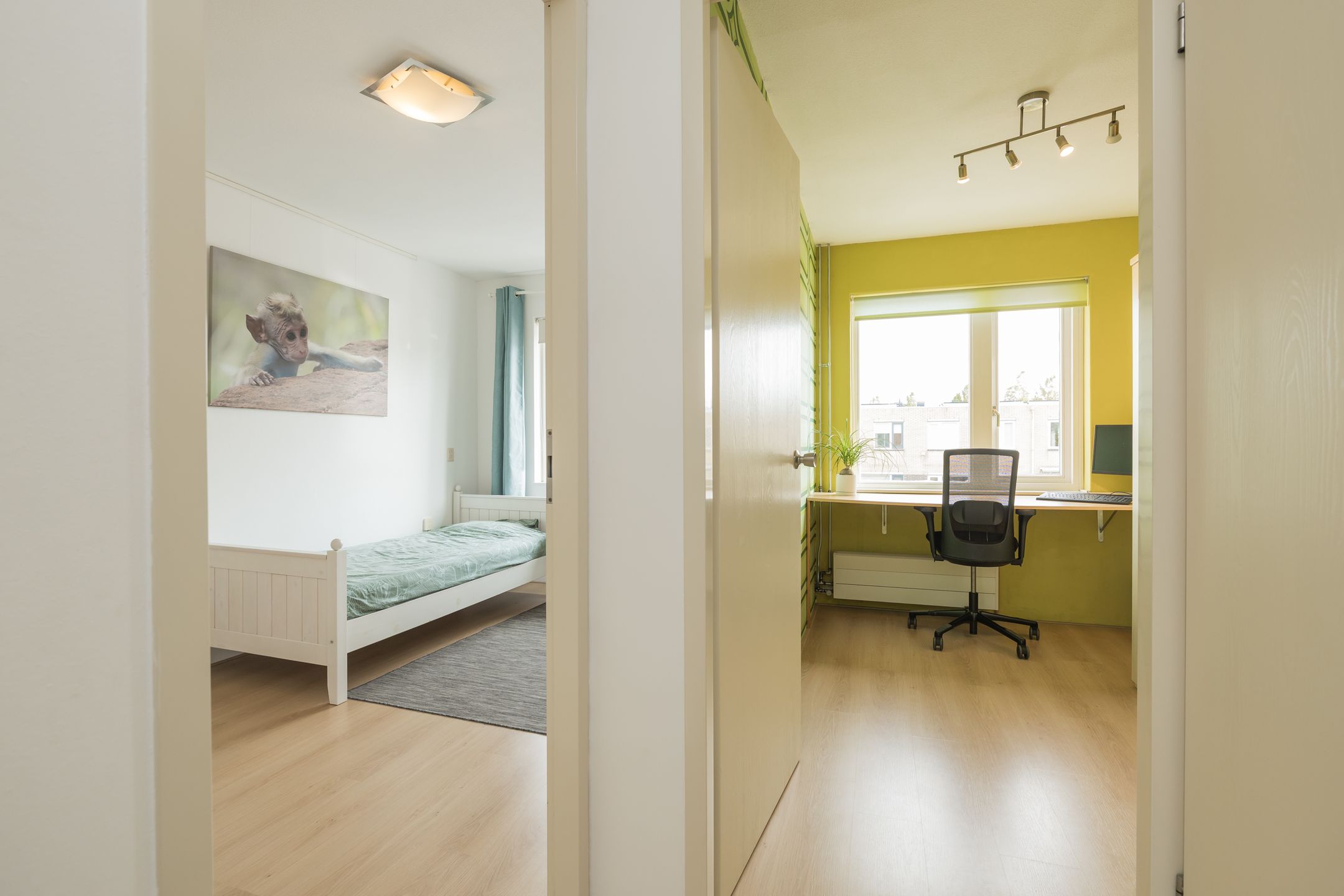 Photo 33 of Tongelaer 106