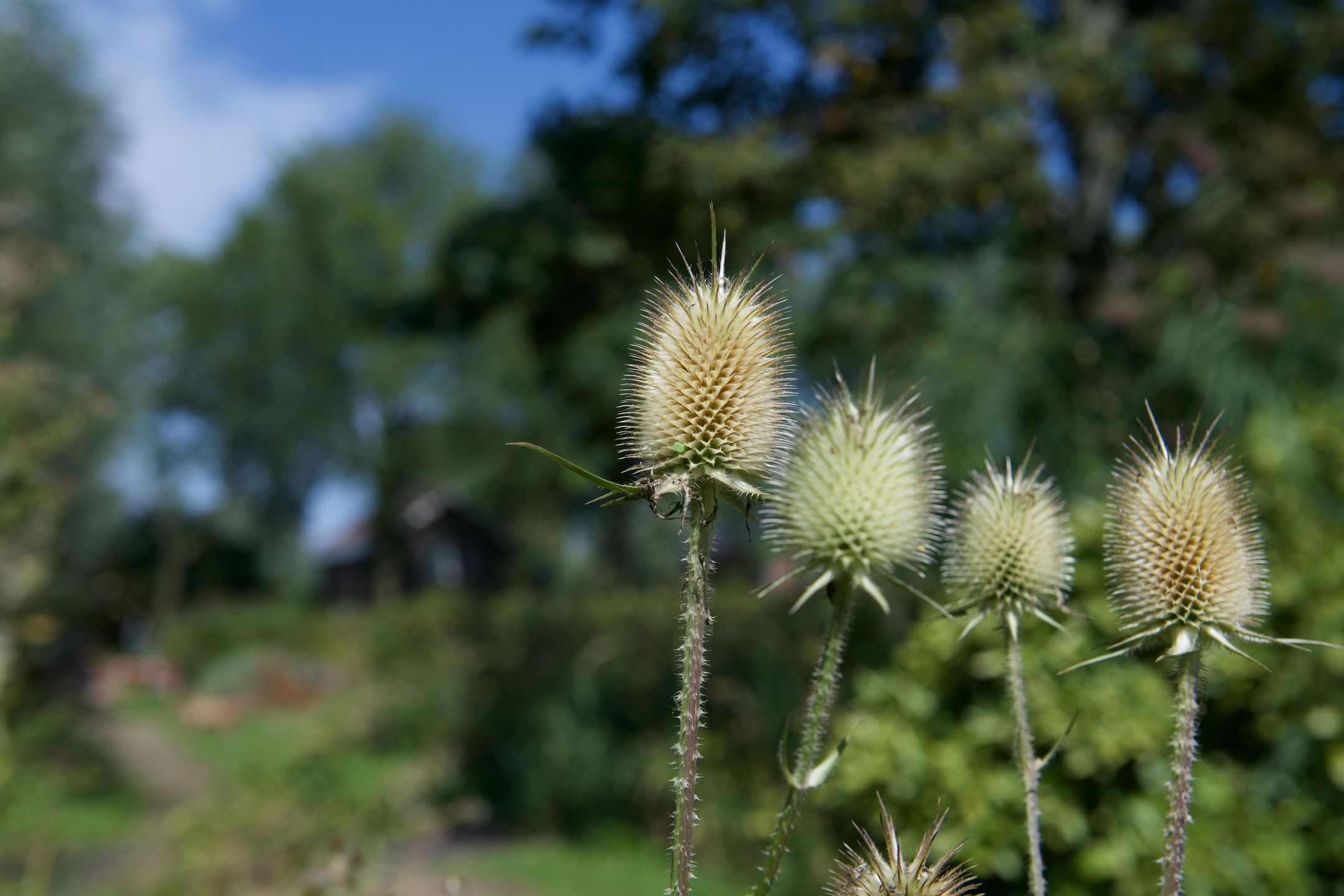 Foto 21 van De Stalwoning (Bouwnr. 5)