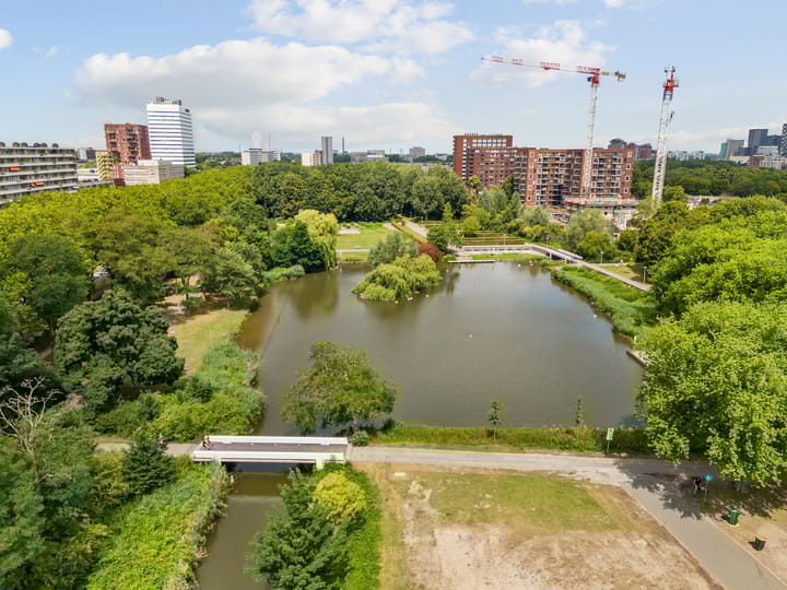 Foto 29 van Livingstonelaan 760