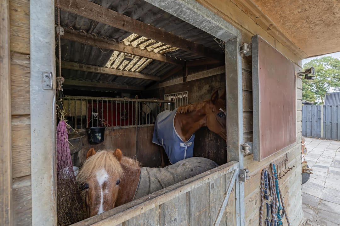 Foto 47 van Noordermeerweg 33-A