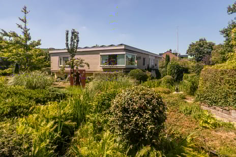 undefined main image